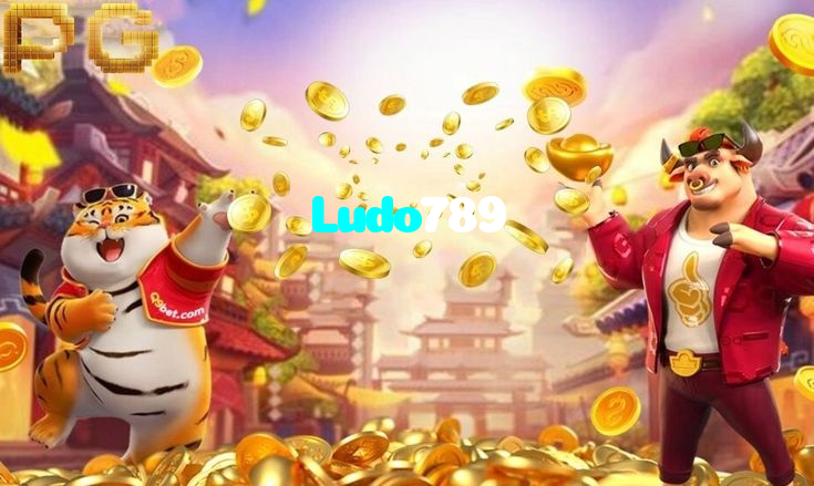 making first deposit on Ludo789 website using local payment methods in Pakistan